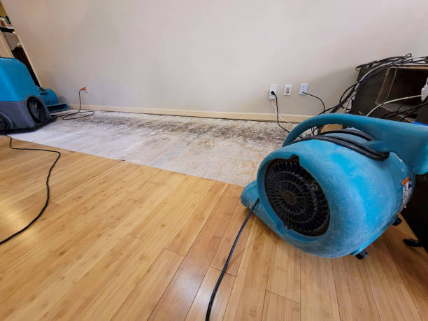 Professional Structural Drying technician working in Rugby, TN